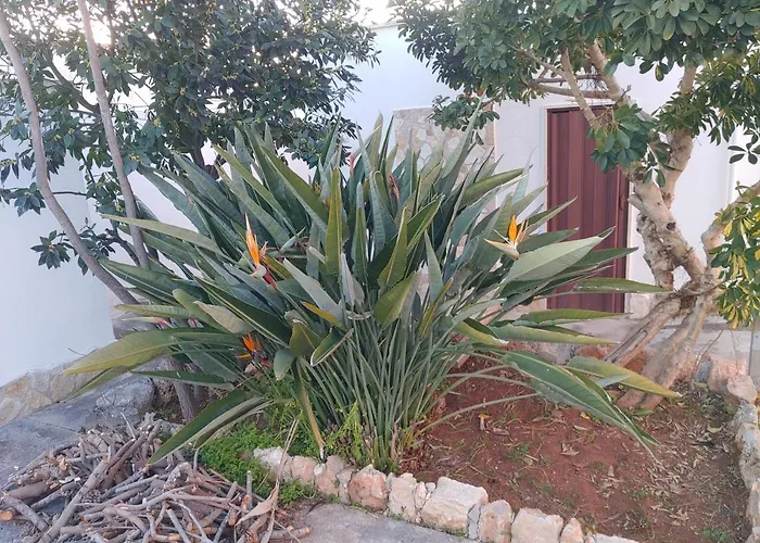 Appartamento Simonetta Alliste