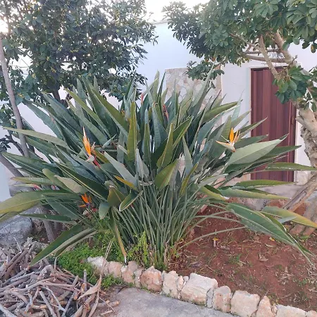 Apartment Simonetta Alliste